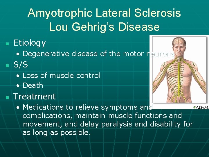 Amyotrophic Lateral Sclerosis Lou Gehrig’s Disease n Etiology • Degenerative disease of the motor