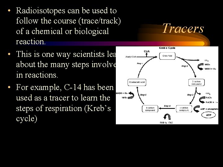  • Radioisotopes can be used to follow the course (trace/track) of a chemical