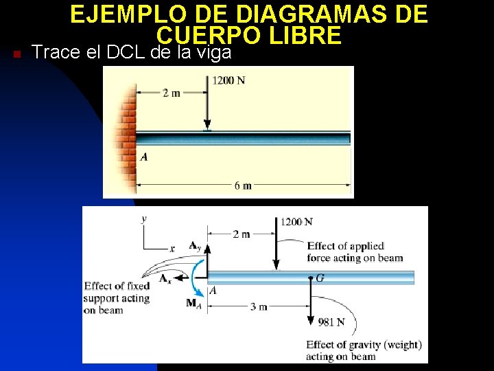 n EJEMPLO DE DIAGRAMAS DE CUERPO LIBRE Trace el DCL de la viga 