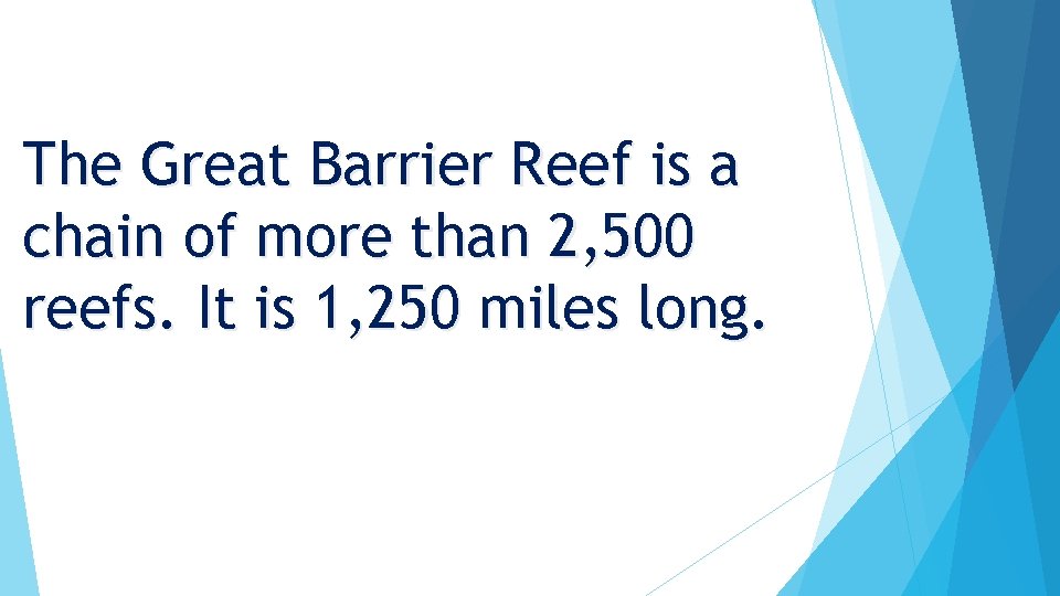 The Great Barrier Reef is a chain of more than 2, 500 reefs. It