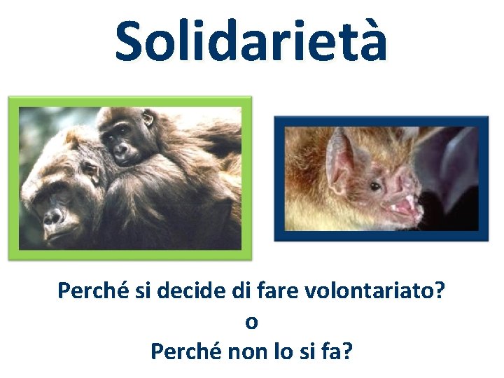 Solidarietà Perché si decide di fare volontariato? o Perché non lo si fa? 