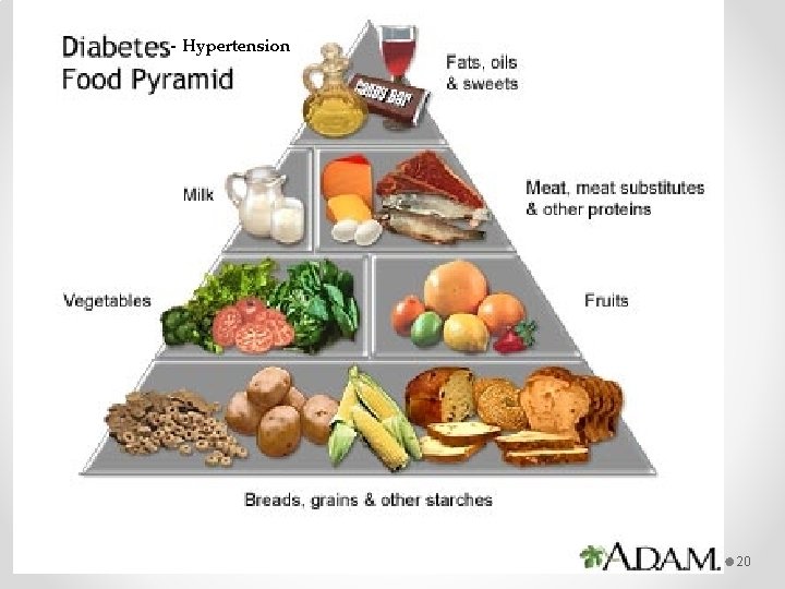 - Hypertension 20 - Hypertension 20