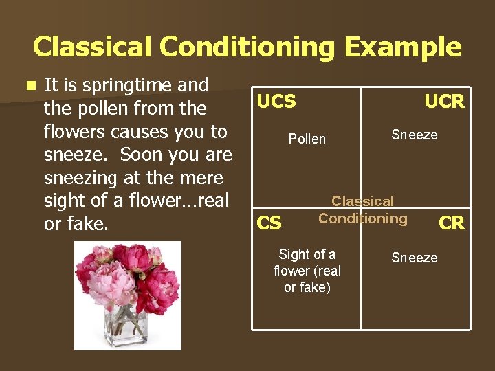 Classical Conditioning Example n It is springtime and UCS UCR the pollen from the