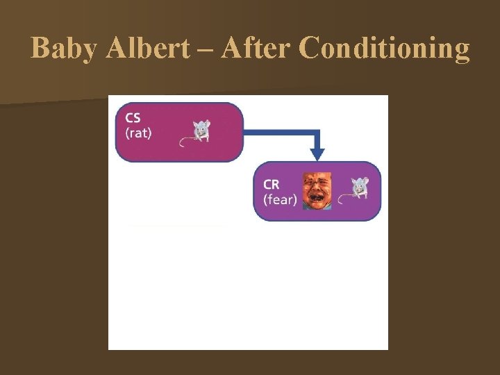 Baby Albert – After Conditioning 