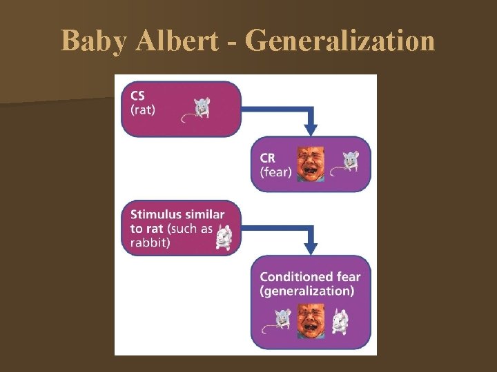 Baby Albert - Generalization 