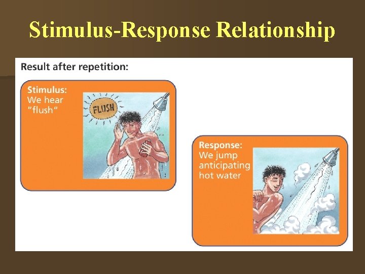 Stimulus-Response Relationship 