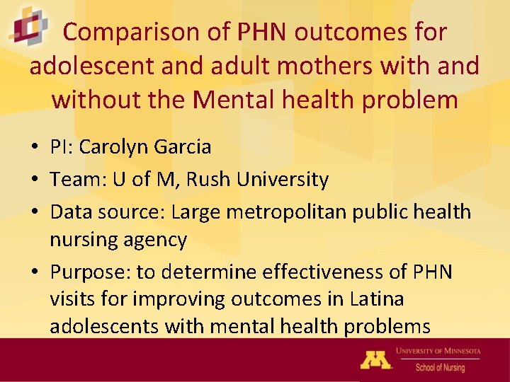 Comparison of PHN outcomes for adolescent and adult mothers with and without the Mental