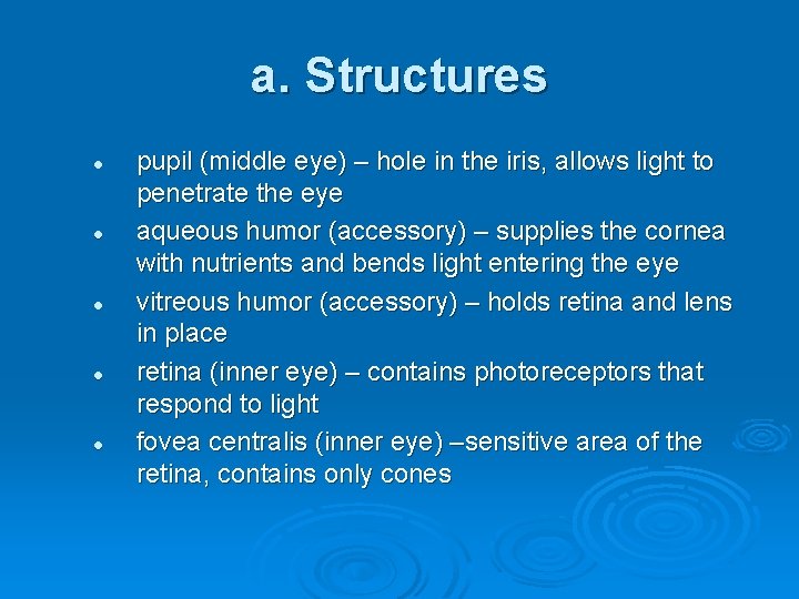 a. Structures l l l pupil (middle eye) – hole in the iris, allows