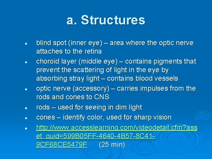 a. Structures l l l blind spot (inner eye) – area where the optic