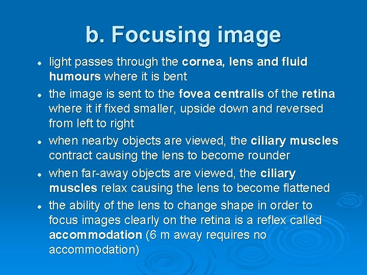 b. Focusing image l l light passes through the cornea, lens and fluid humours