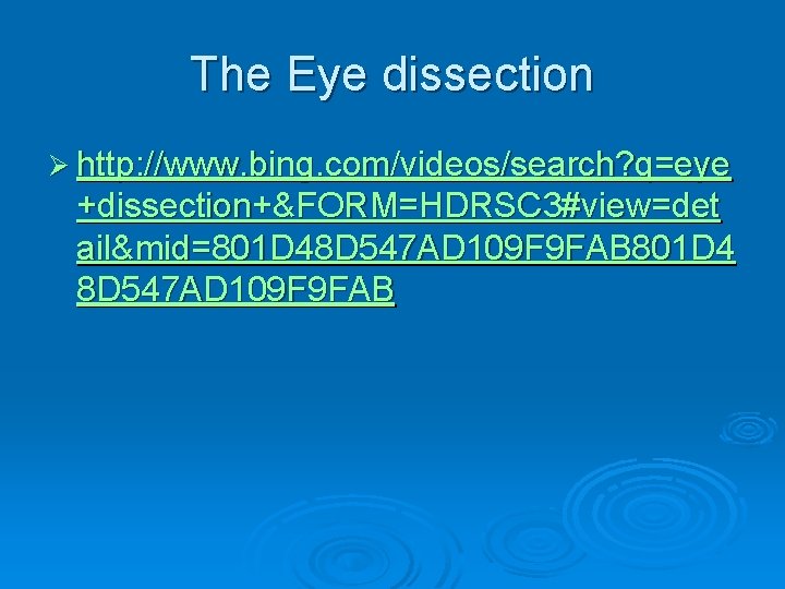 The Eye dissection Ø http: //www. bing. com/videos/search? q=eye +dissection+&FORM=HDRSC 3#view=det ail&mid=801 D 48