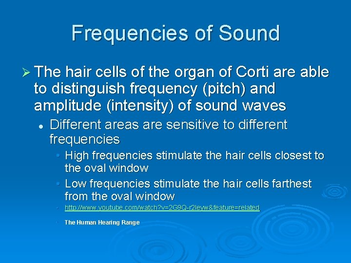 Frequencies of Sound Ø The hair cells of the organ of Corti are able