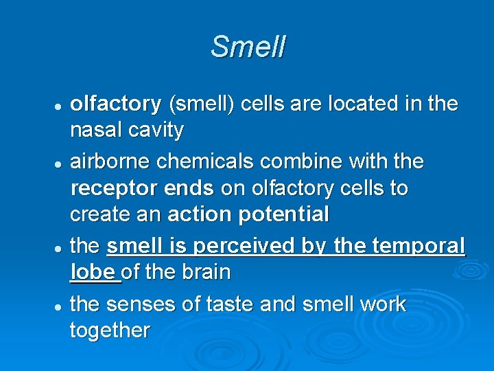 Smell olfactory (smell) cells are located in the nasal cavity l airborne chemicals combine