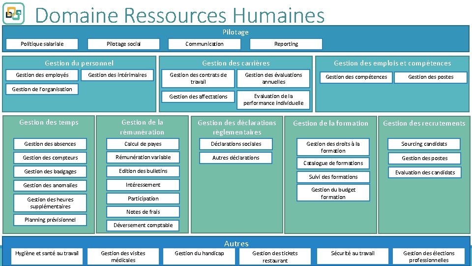 Domaine Ressources Humaines Pilotage Politique salariale Pilotage social Communication Gestion du personnel Gestion des