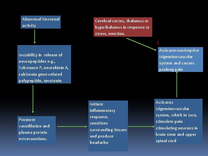 Abnormal Neuronal activity Cerebral cortex, thalamus or hypothalamus in response to stress, emotion. ‡