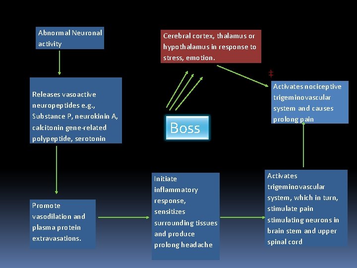 Abnormal Neuronal activity Cerebral cortex, thalamus or hypothalamus in response to stress, emotion. ‡