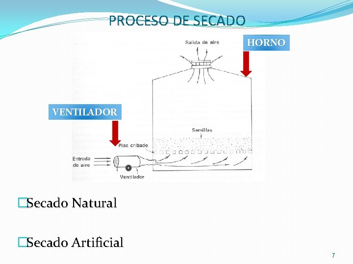 PROCESO DE SECADO HORNO VENTILADOR �Secado Natural �Secado Artificial 7 