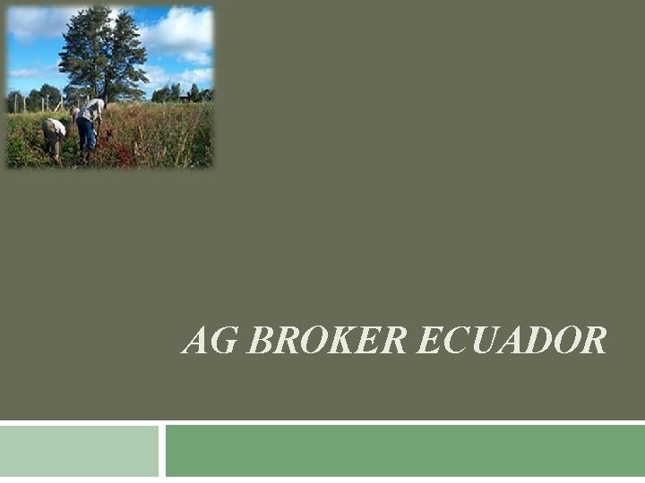 AG BROKER ECUADOR 