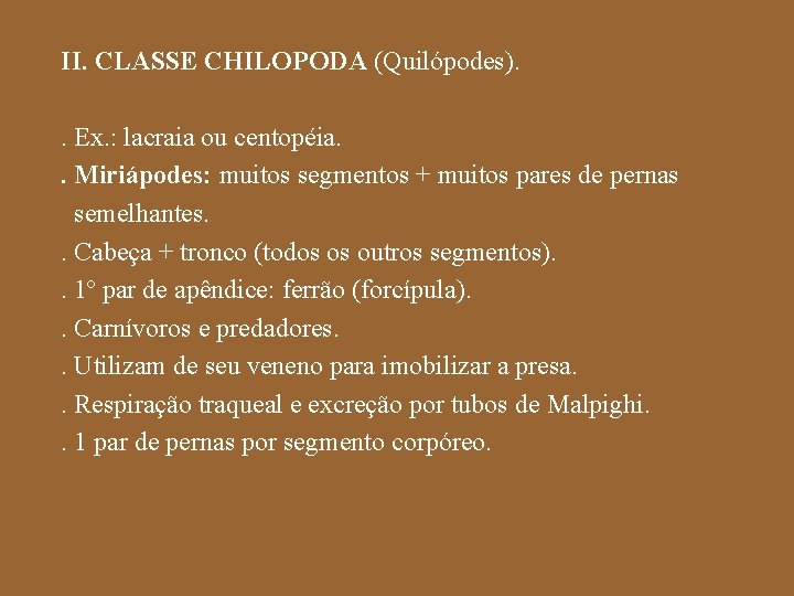 II. CLASSE CHILOPODA (Quilópodes). . Ex. : lacraia ou centopéia. . Miriápodes: muitos segmentos