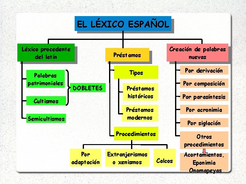 EL LÉXICO ESPAÑOL Léxico procedente del latín Palabras patrimoniales Préstamos Creación de palabras nuevas