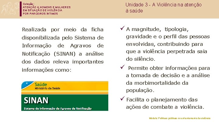 Coleção: ATENÇÃO A HOMENS E MULHERES EM SITUAÇÃO DE VIOLÊNCIA POR PARCEIROS ÍNTIMOS Realizada