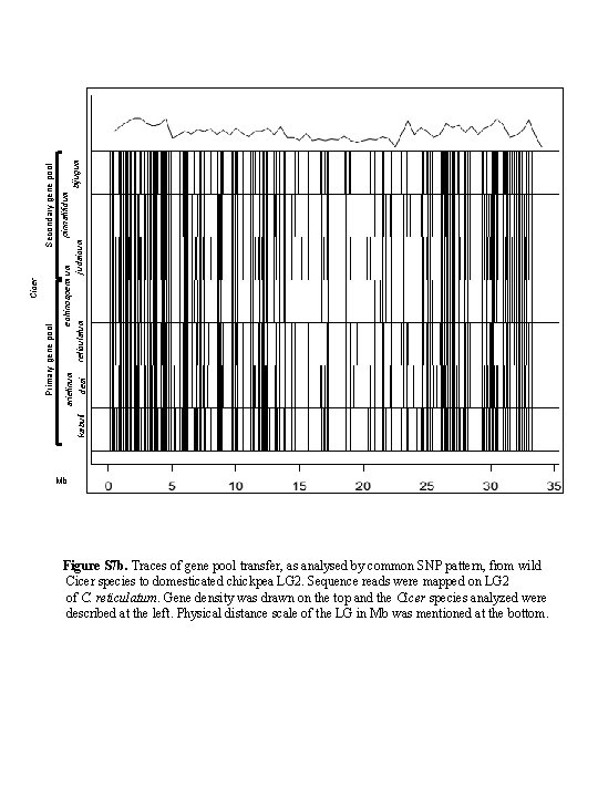 Secondary gene pool Cicer Primary gene pool pinnatifidum echinospermum arietinum bijugum judaicum reticulatum kabuli