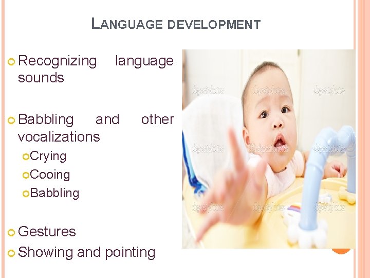 LANGUAGE DEVELOPMENT Recognizing language sounds Babbling and vocalizations other Crying Cooing Babbling Gestures Showing