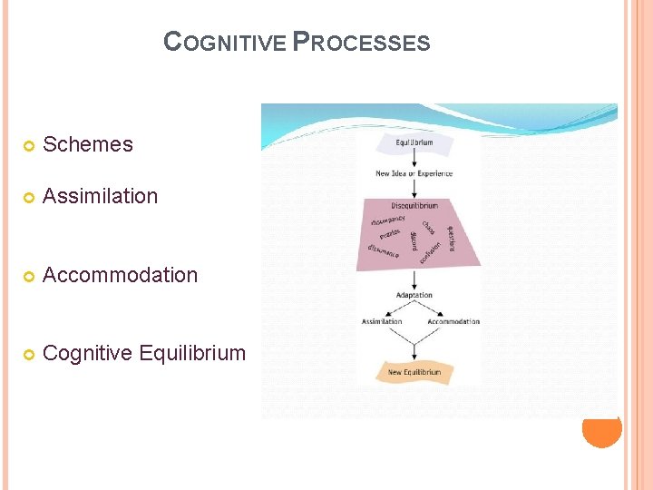 COGNITIVE PROCESSES Schemes Assimilation Accommodation Cognitive Equilibrium 