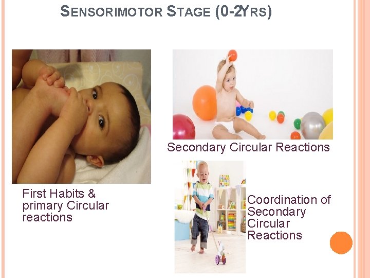 SENSORIMOTOR STAGE (0 -2 YRS) Secondary Circular Reactions First Habits & primary Circular reactions