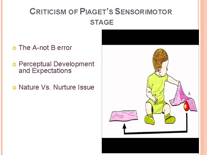 CRITICISM OF PIAGET’S SENSORIMOTOR STAGE The A-not B error Perceptual Development and Expectations Nature