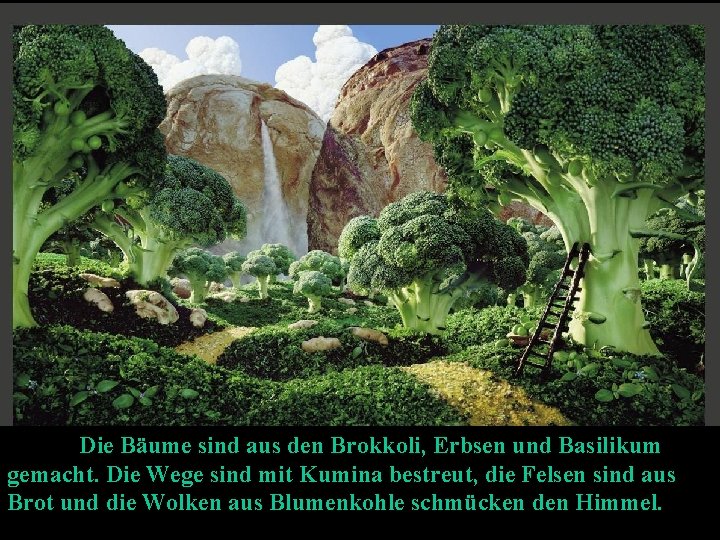 Die Bäume sind aus den Brokkoli, Erbsen und Basilikum gemacht. Die Wege sind mit