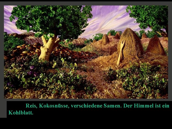 Reis, Kokosnüsse, verschiedene Samen. Der Himmel ist ein Kohlblatt. 