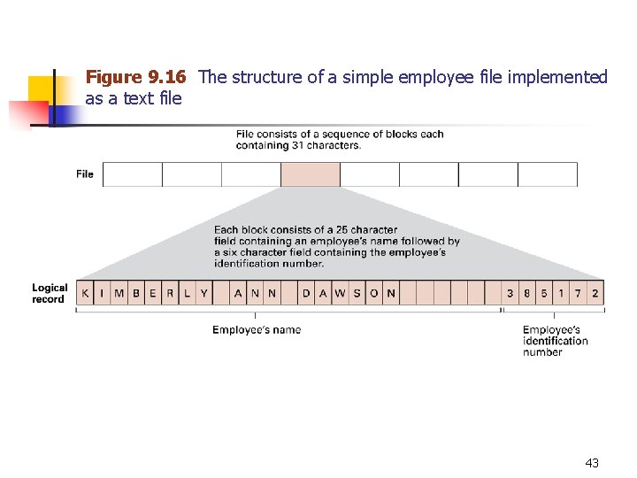 Figure 9. 16 The structure of a simple employee file implemented as a text