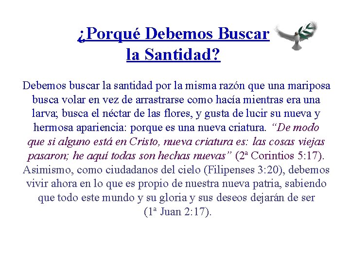 ¿Porqué Debemos Buscar la Santidad? Debemos buscar la santidad por la misma razón que
