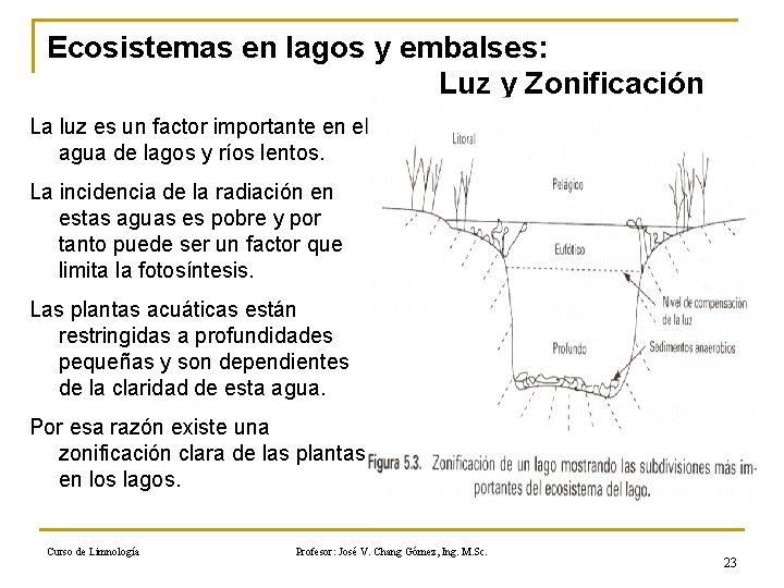 Ecosistemas en lagos y embalses: Luz y Zonificación La luz es un factor importante