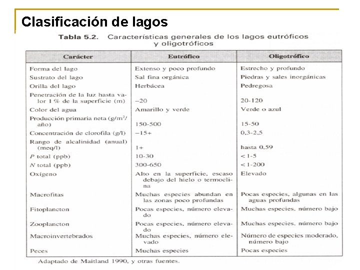 Clasificación de lagos Curso de Limnología Profesor: José V. Chang Gómez, Ing. M. Sc.