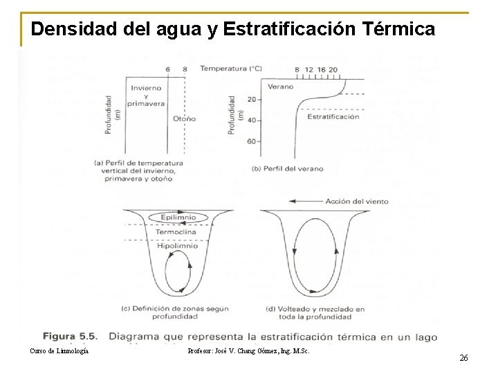 Densidad del agua y Estratificación Térmica Curso de Limnología Profesor: José V. Chang Gómez,