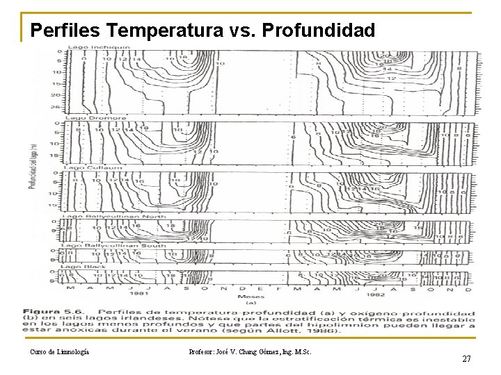 Perfiles Temperatura vs. Profundidad Curso de Limnología Profesor: José V. Chang Gómez, Ing. M.
