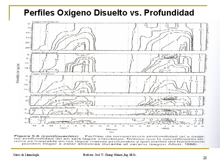 Perfiles Oxígeno Disuelto vs. Profundidad Curso de Limnología Profesor: José V. Chang Gómez, Ing.