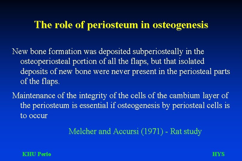 The role of periosteum in osteogenesis New bone formation was deposited subperiosteally in the