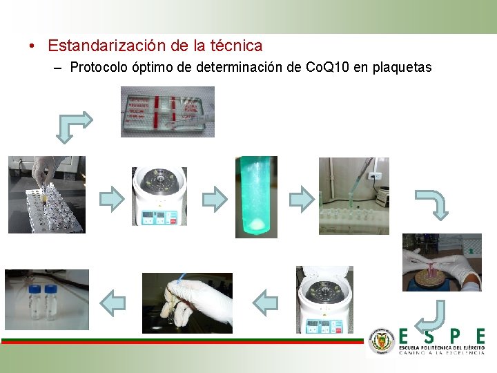  • Estandarización de la técnica – Protocolo óptimo de determinación de Co. Q