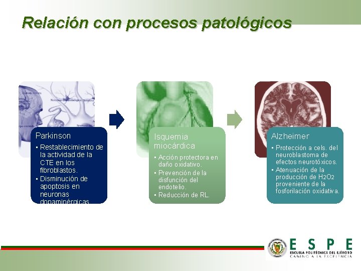 Relación con procesos patológicos Parkinson • Restablecimiento de la actividad de la CTE en