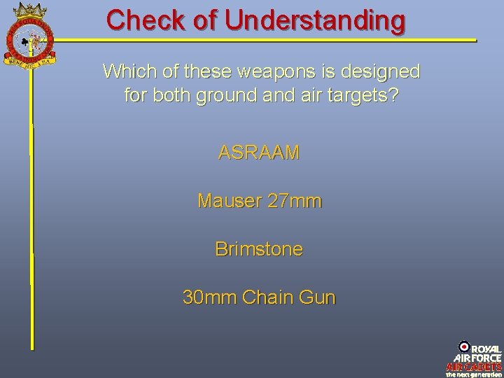 Check of Understanding Which of these weapons is designed for both ground air targets?