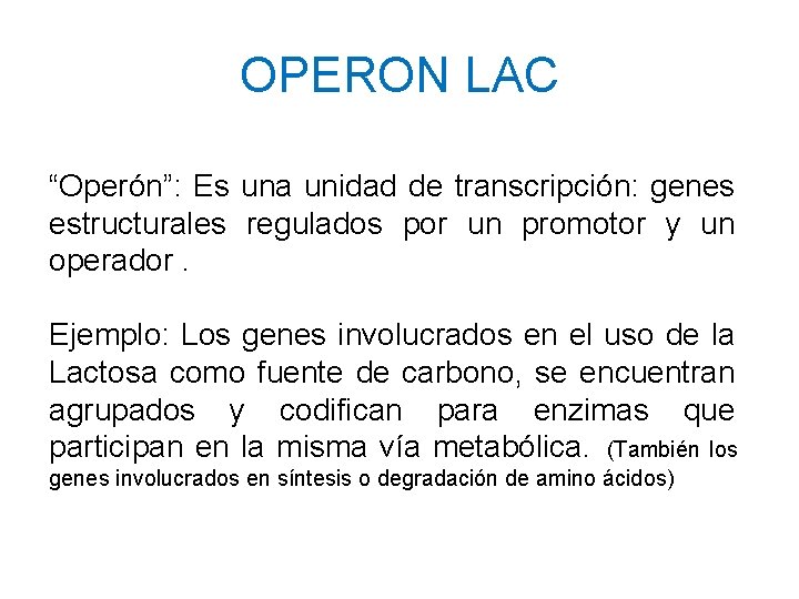 OPERON LAC “Operón”: Es una unidad de transcripción: genes estructurales regulados por un promotor