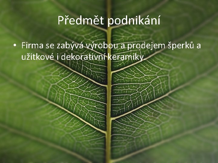 Předmět podnikání • Firma se zabývá výrobou a prodejem šperků a užitkové i dekorativní