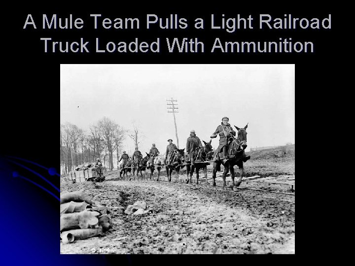 A Mule Team Pulls a Light Railroad Truck Loaded With Ammunition 