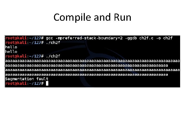 Compile and Run 