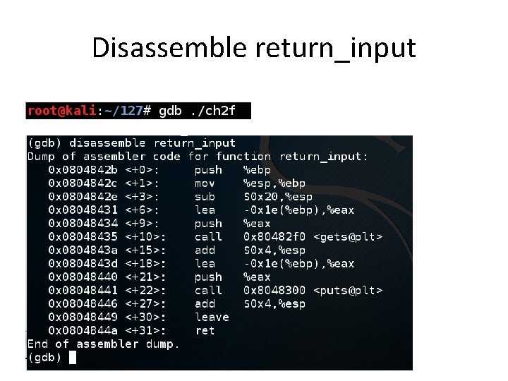 Disassemble return_input 