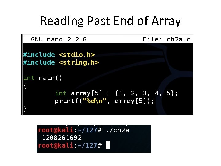 Reading Past End of Array 